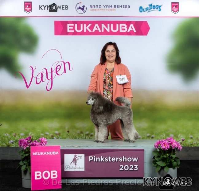 Vayen op de IDS Pinkstershow in Gorinchem, 28 mei 2023