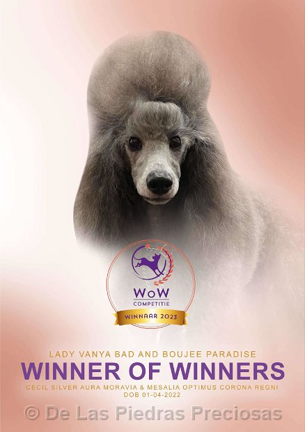 2023_WOW_Vayen_Poster