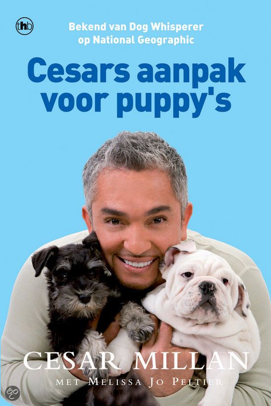 Cesars aanpak voor puppy’s